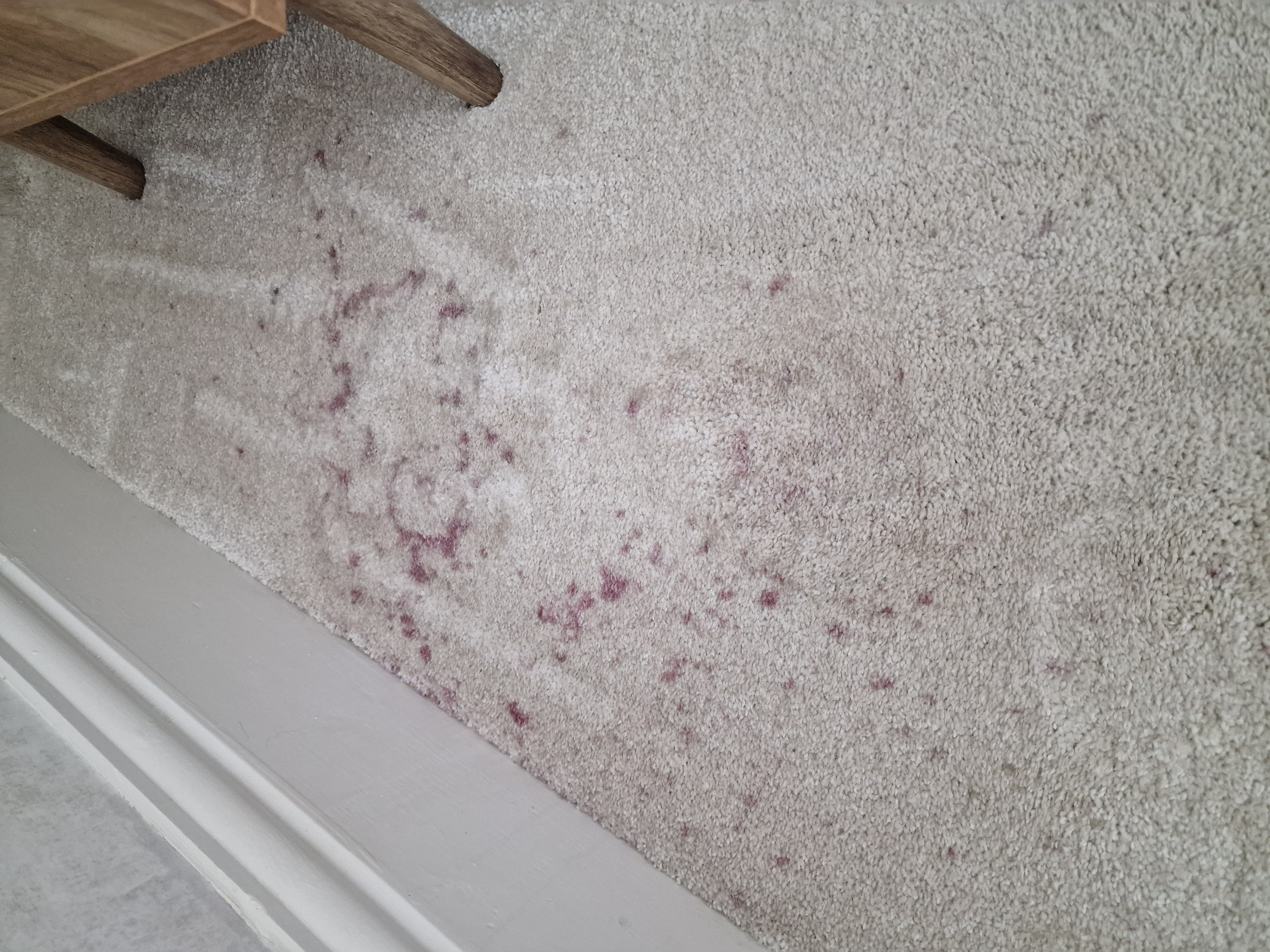 Professional cleaning