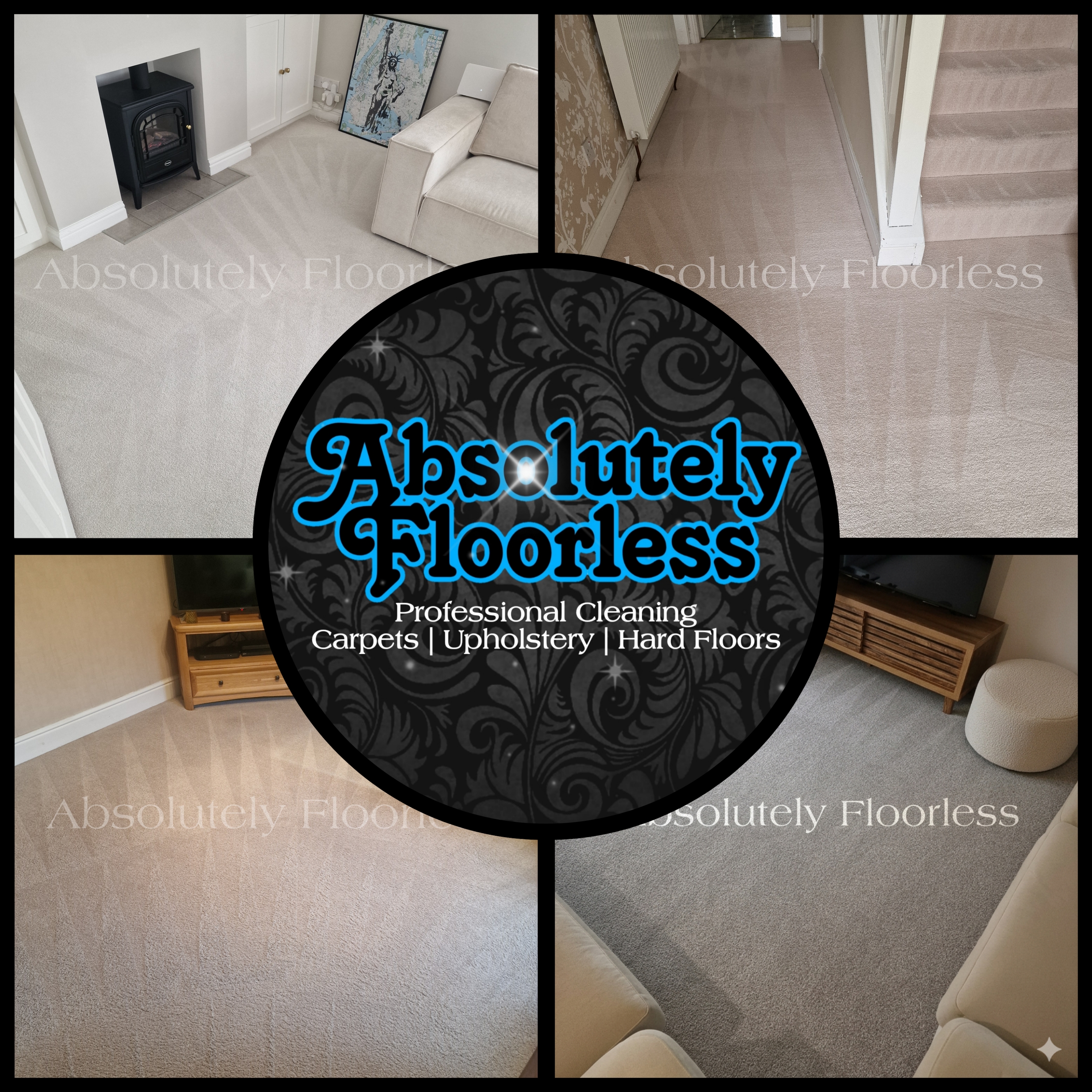 Professional carpet cleaning results