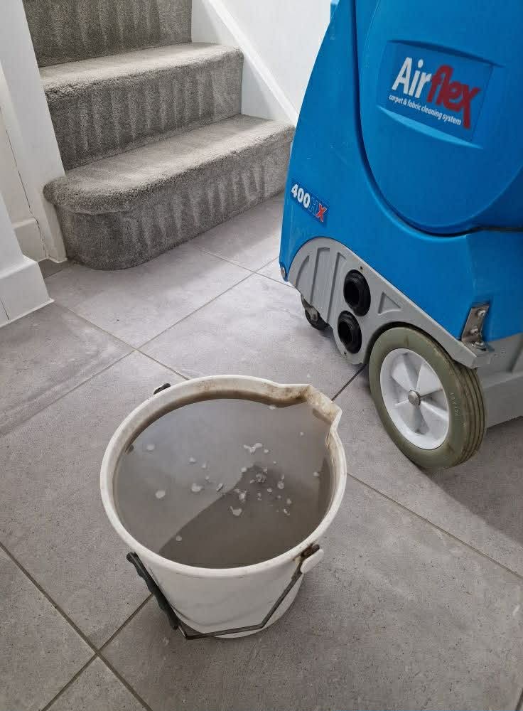 Professional carpet cleaning equipment and results